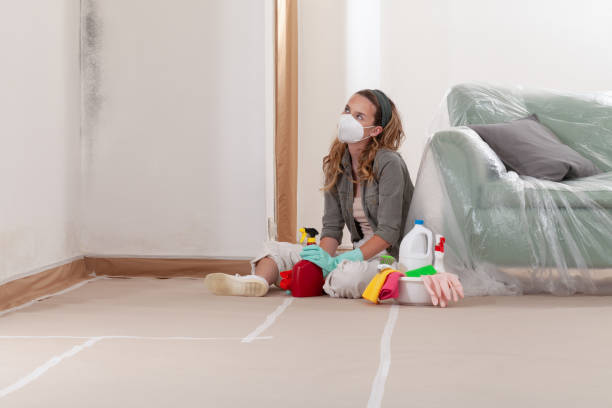 Reliable Mold Cleanup contractor in Fort Belvoir, VA by WQB Mold Removal